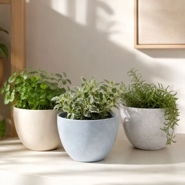 Saksija za Cvijeće Stone 23,5cm×19,50cm